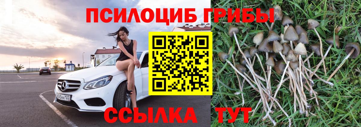 Острогожск  Псилоцибиновые грибы мицелий  Вход с VPN  Галлюциногенные грибы Psilocybine cubensis 