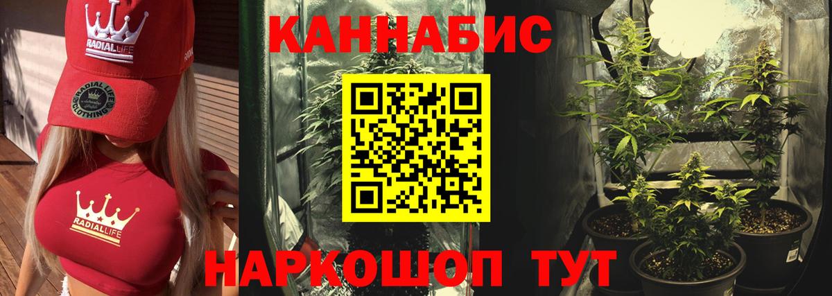 Острогожск  Бошки Шишки гибрид  Бошки Шишки гибрид  Вход с VPN 